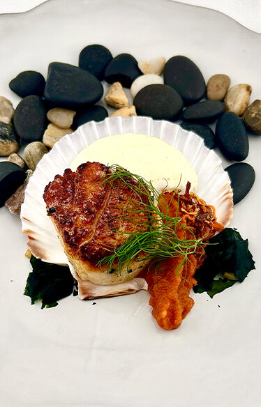 Scallops from the tasting menu